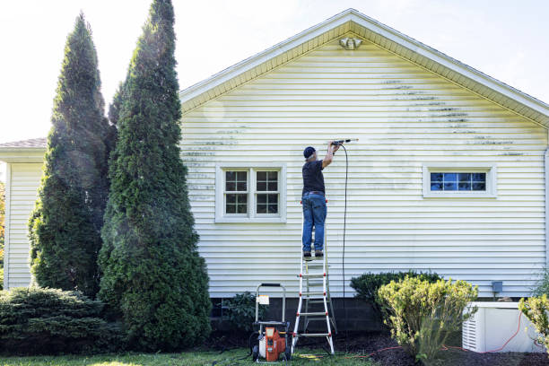 Best Driveway Pressure Washing  in Beach Haven, NJ